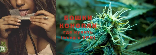 шишки Карпинск
