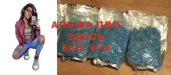 шишки Карпинск