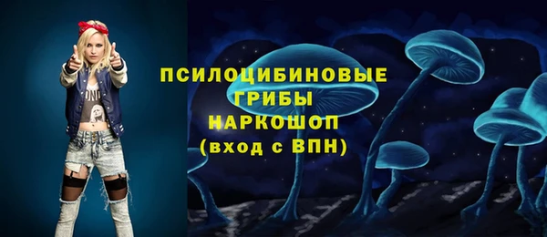 шишки Карпинск