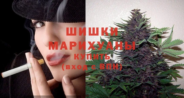 шишки Карпинск