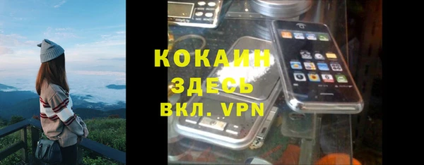 шишки Карпинск