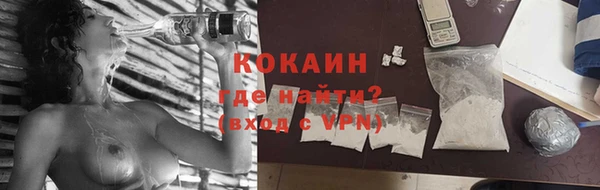 шишки Карпинск