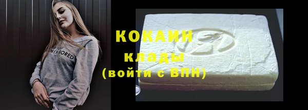 шишки Карпинск