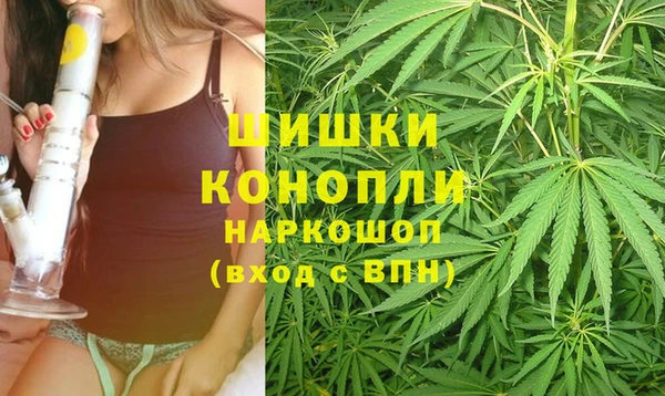 шишки Карпинск