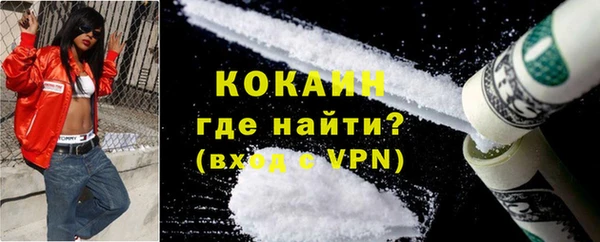 шишки Карпинск
