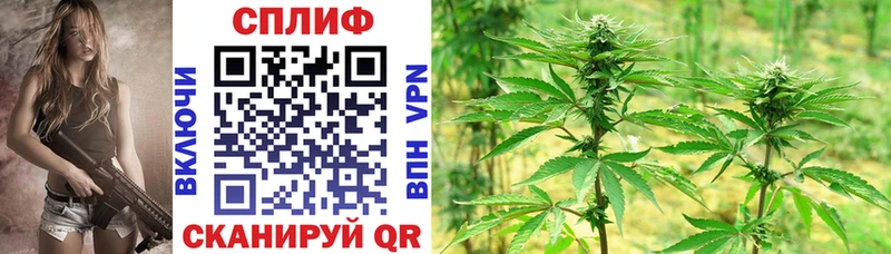 Бошки марихуана Bruce Banner  Купить где  Грязовец 